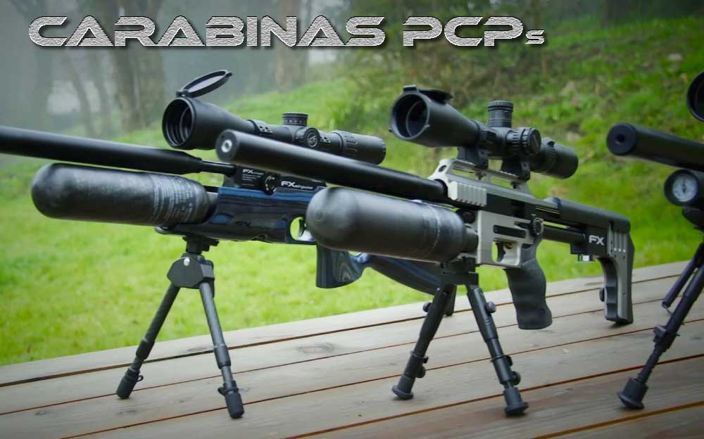 banner-carabinas-pcps