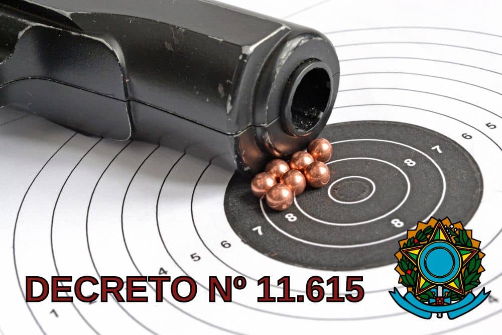 DECRETO Nº 11.615